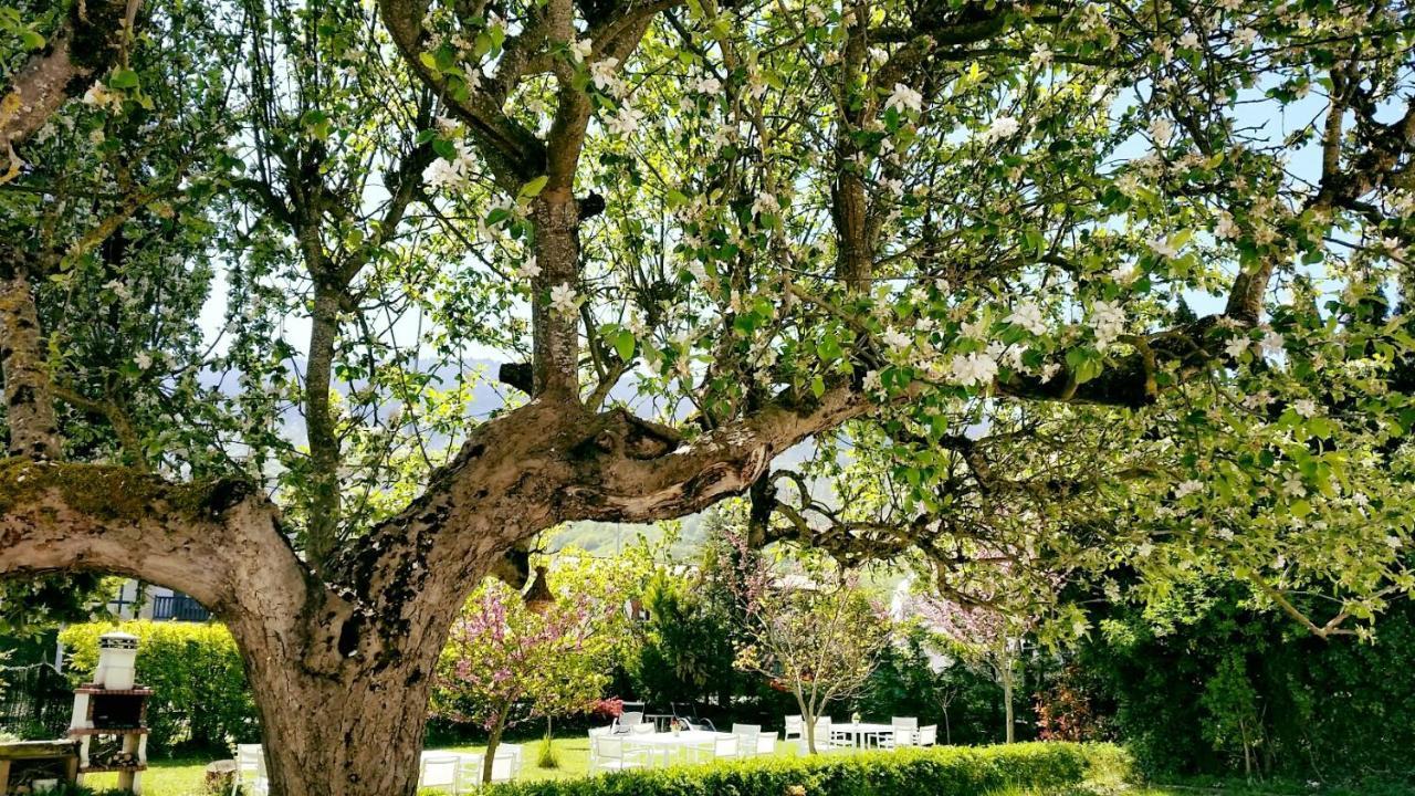 Errotazar Apartamento M Konuk evi Alsasua Dış mekan fotoğraf